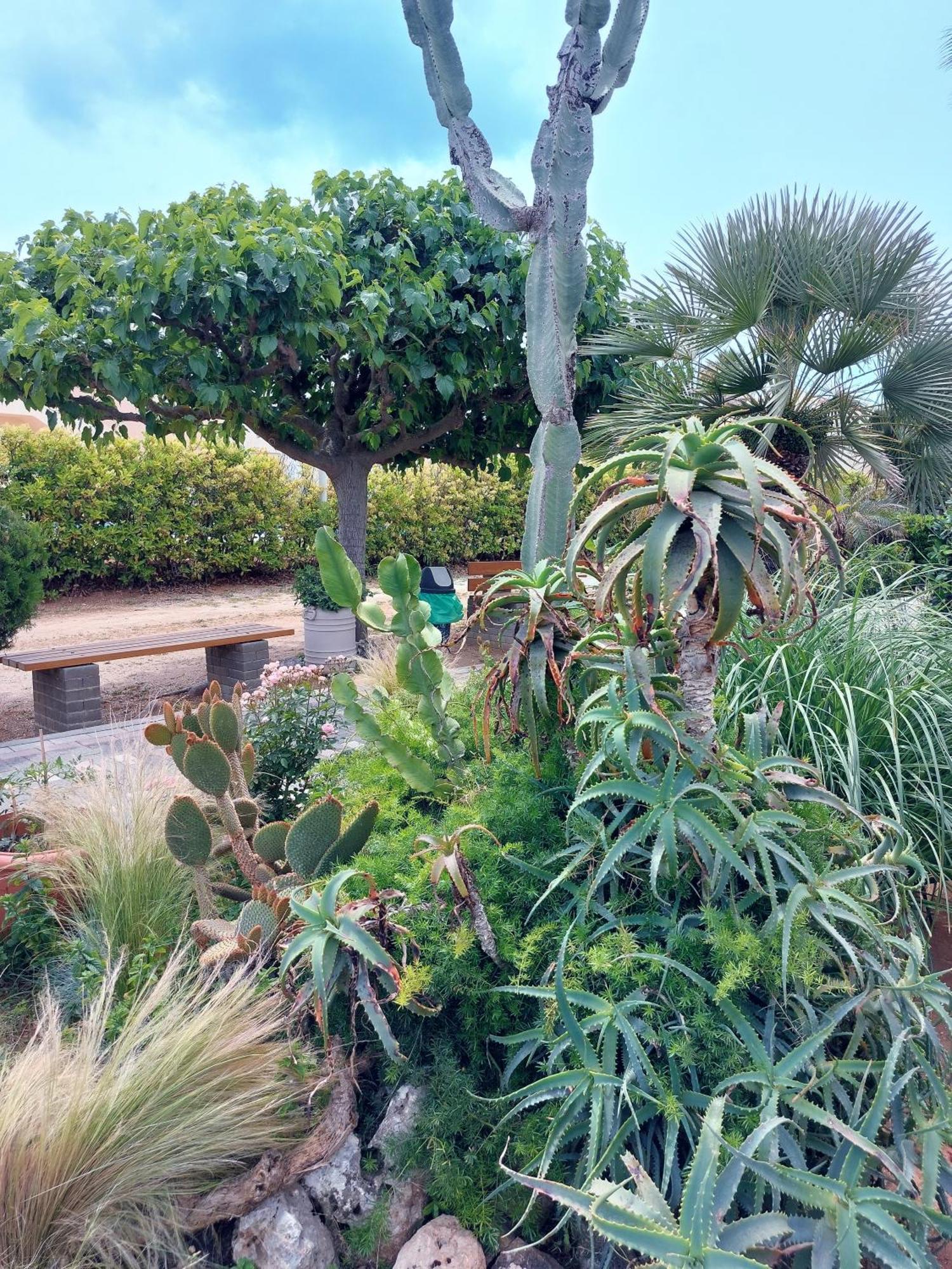 Gelina Apartments Platanias  Exterior photo