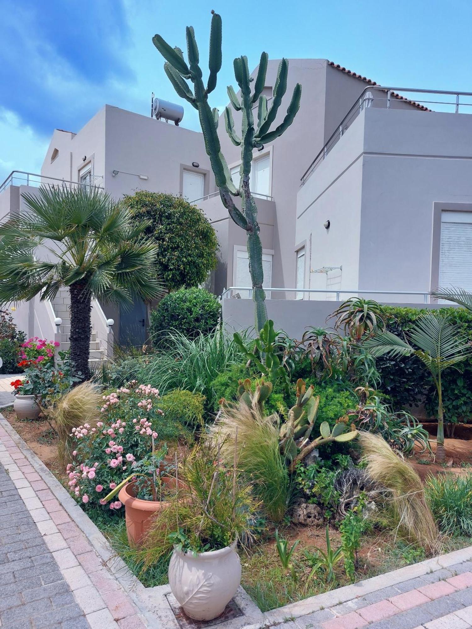 Gelina Apartments Platanias  Exterior photo