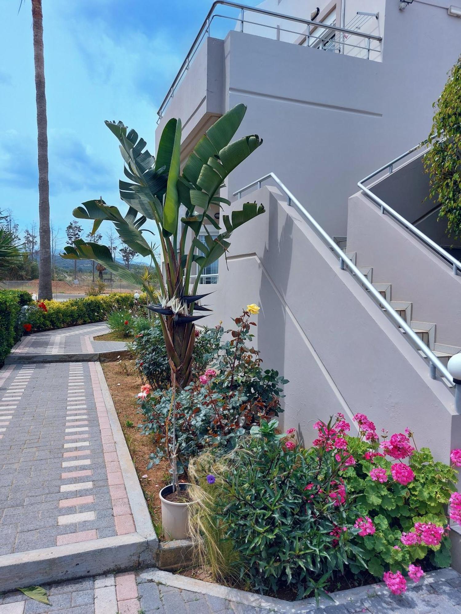 Gelina Apartments Platanias  Exterior photo
